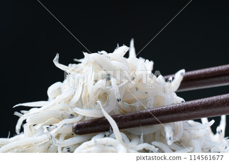 Shiugake fried shrimp Shiugake fried shrimp 114561677
