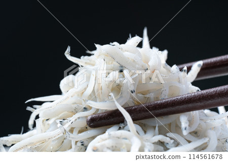 Shiugake fried shrimp Shiugake fried shrimp 114561678