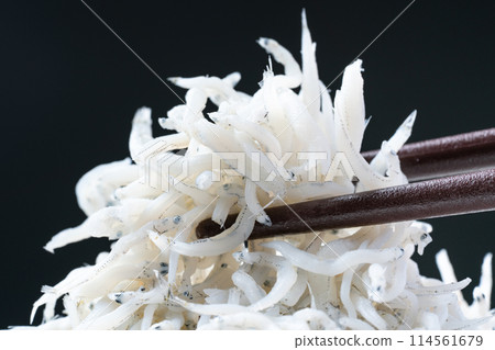 Shiugake fried shrimp 114561679