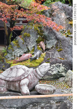 京都鬆尾大社天使龜鯉魚庭園（京都府京都市西京區） 114561731