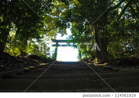 Torii gate of the shrine on the mountaintop 114561819
