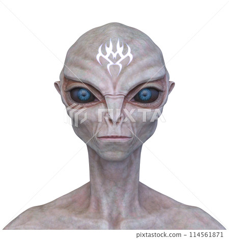外星人的臉 114561871