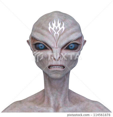 外星人的臉 114561878