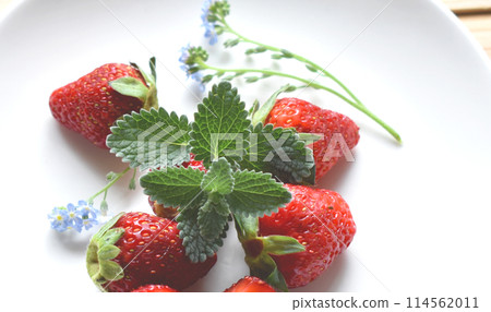 明亮的綠色薄荷和紅色對比的春天草莓特寫鏡頭。 114562011