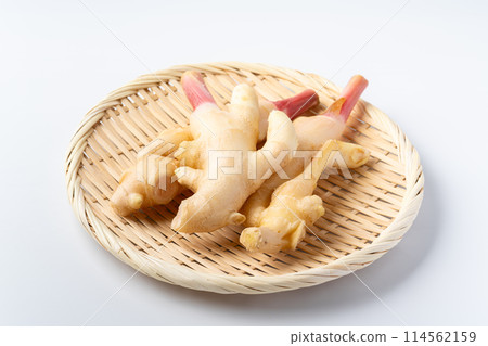 新姜 新姜 114562159