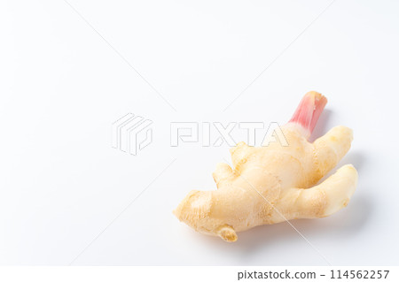 新姜 新姜 114562257