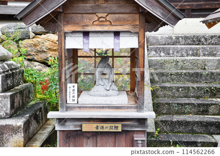 京都鬆尾大社的幸運鯉魚(京都府京都市西京區) 京都鬆尾大社的幸運鯉魚(京都府京都市西京區) 114562266