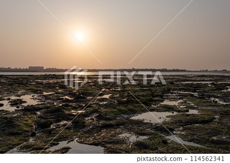 台灣澎湖島海灘 台灣澎湖島海灘 114562341