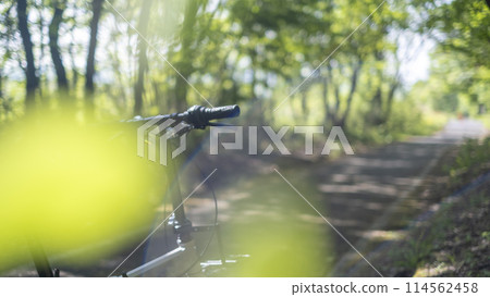 Fresh greenery and early summer cycling image (Hiruzen Plateau) 114562458
