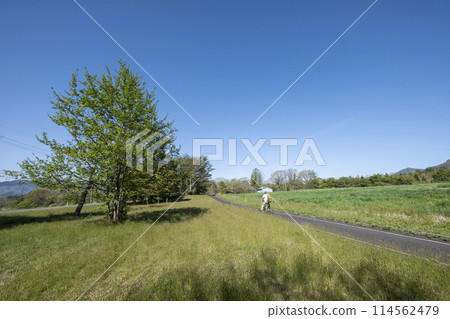 Fresh greenery and early summer cycling image (Hiruzen Plateau) Fresh greenery and early summer cycling image (Hiruzen Plateau) 114562479
