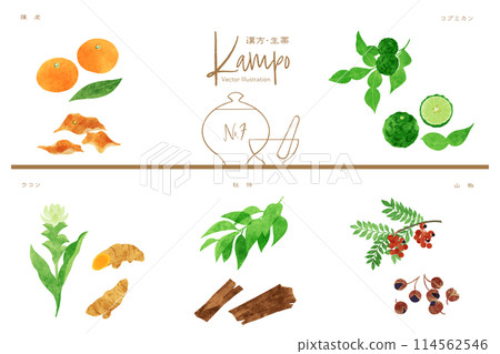 Herbal medicine vector illustration set 7 (Chinese peel, Kaffir lime, Turmeric, Eucommia, Japanese pepper) 114562546