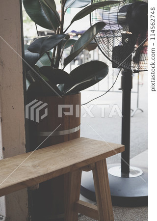 Rubber plant tree houseplant with wooden bench and fan at outdoor. Rubber plant tree houseplant with wooden bench and fan at outdoor. 114562748