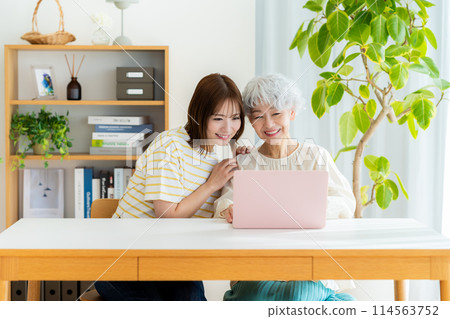Senior woman learning computer in living room Senior woman learning computer in living room 114563752