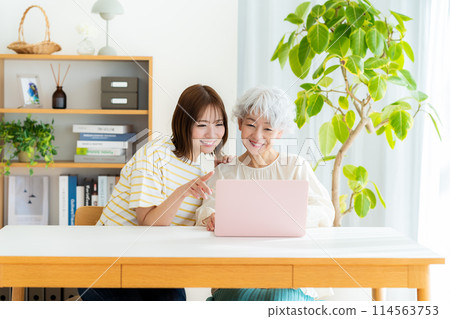 Senior woman learning computer in living room 114563753