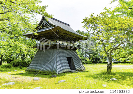 Fresh greenery at Mutsu Kokubunji Yakushido 114563883