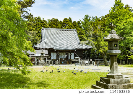 鮮綠色陸奧國分寺藥師堂 114563886