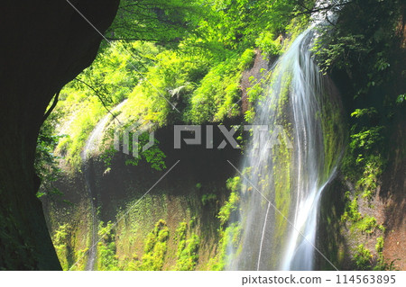 Yufu River Valley of fresh greenery (Yufu City, Beppu City) Yufu River Valley of fresh greenery (Yufu City, Beppu City) 114563895