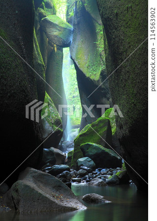 Yufu River Valley in summer (Yufu City, Beppu City, vertical composition) 114563902