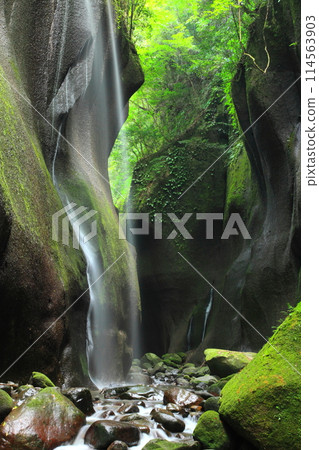 Yufu River Valley in summer (Yufu City, Beppu City, vertical composition) 114563903