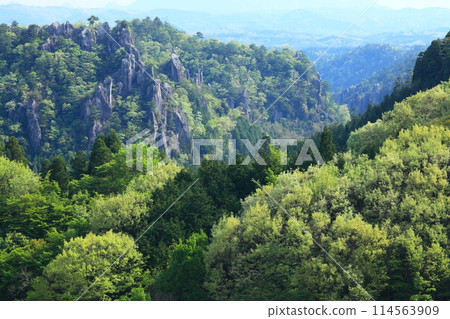 新年的峽谷 114563909