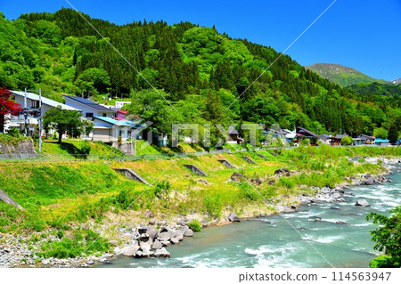 Around Otari Village Hall (Otari Village, Nagano Prefecture) [May 2024] 114563947