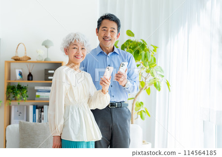 Senior couple looking at a smartphone in the living room Senior couple looking at a smartphone in the living room 114564185