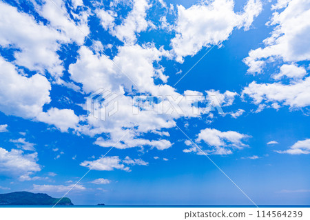 Sea coast image 114564239