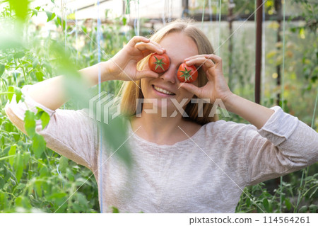 Smiling agriculture worker holding tomatoes over eyes in greenhouse. Fresh seasonal vegetables harvest. Food produce and cultivation. Sustainable 114564261