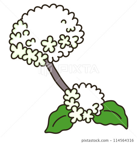 Odemari Odemari 114564316