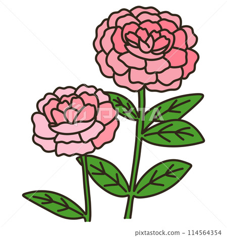 牡丹根 牡丹根 114564354