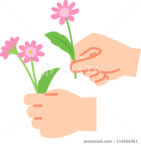 手拿著一朵採摘的花 114564361