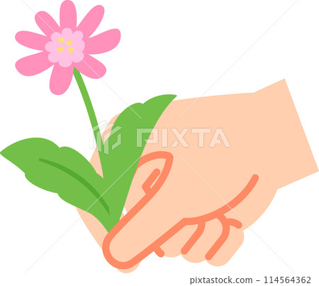 手摘花 114564362