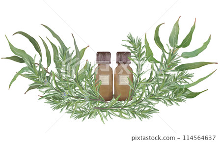 Rosemary, eucalyptus and essential oil bottles, essential oils & aroma, aromatic plants 114564637