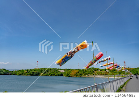 三重縣四日市，伊坂壩湖面和初夏的鯉魚旗 114564682