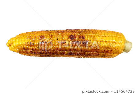 Grilled corn illustration realistic white background Grilled corn illustration realistic white background 114564722
