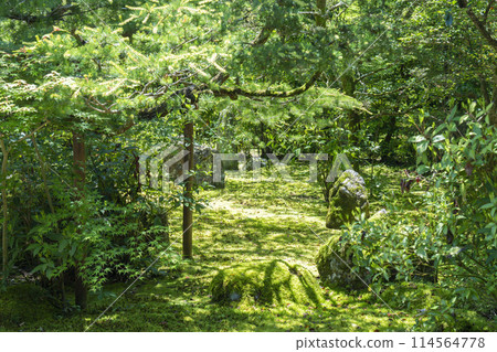 Kyoto Jizo-in Temple (Takedera Temple) Hojo Garden Sixteen Arhats Garden 114564778