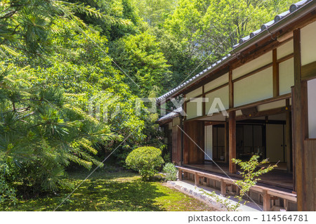 京都地藏院 北條庭園 16羅漢庭園 114564781