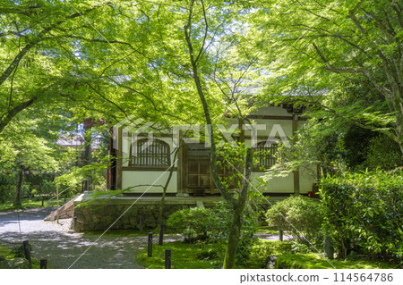 Jizo-in Temple (Takedera Temple) in Kyoto, surrounded by fresh greenery. The main hall as seen from the inner gate. 114564786