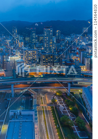 View of the Rokko Mountains at night from Kobe Port Tower 114564810