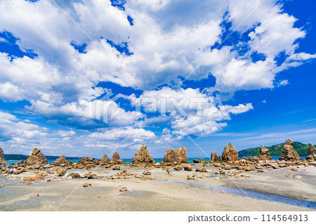 和歌山橋魁岩 和歌山橋魁岩 114564913