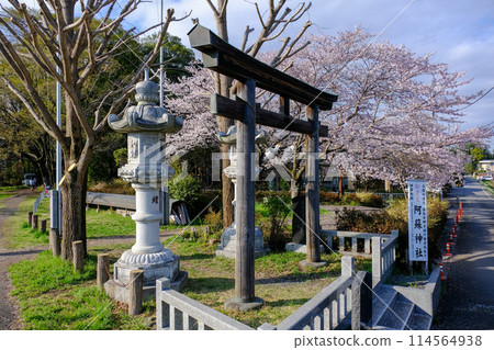 Aso Shrine, Spring, Hamura City, Tokyo 114564938