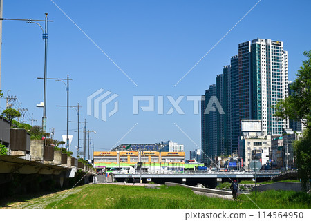 Yangdong Market and the surrounding townscape as seen from the Gwangju River [Gwangju Metropolitan City, South Korea] 114564950