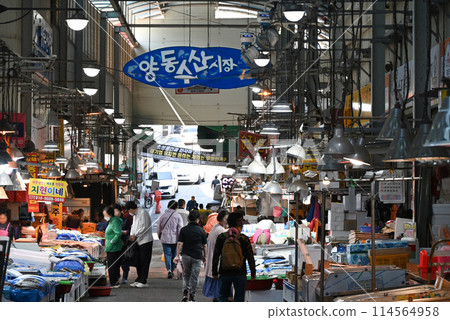 Scene from Yangdong Fisheries Market in Gwangju [Gwangju Metropolitan City, South Korea] 114564958