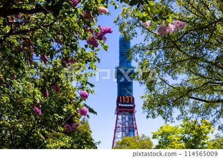 札幌大通公園電視塔 丁香莉拉 札幌大通公園電視塔 丁香莉拉 114565009