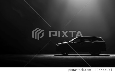 一款豪華轎車，其優雅的設計和曲線在柔和的燈光照射下的黑暗環境中脫穎而出。 114565051