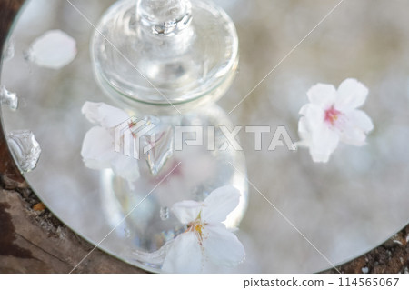 櫻花漂浮在水中 櫻花漂浮在水中 114565067