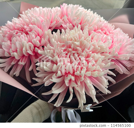 Bouquet of beautiful pink flowers 114565100