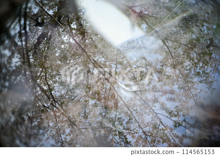 Snow on glass Snow on glass 114565153