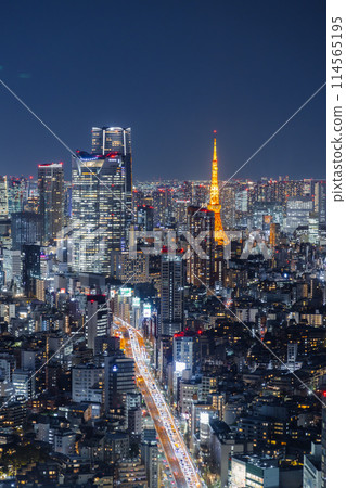 Tokyo at night as seen from Shibuya Sky Tokyo at night as seen from Shibuya Sky 114565195