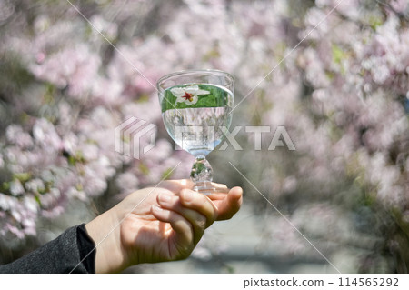 櫻花叢中舉起的玻璃杯 114565292